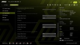 MSI_Advanced Offset _3.jpg