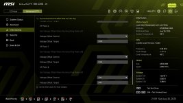 MSI_Advanced Offset _5.jpg