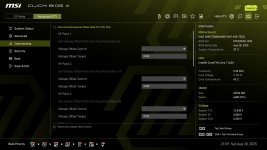 MSI_Advanced Offset _6.jpg