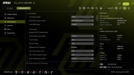 MSI_Overclocking_1.jpg