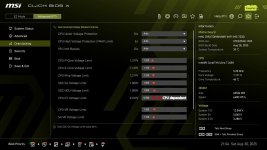 MSI_Voltage Related _1.jpg