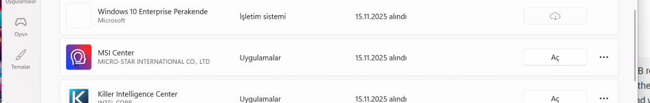 Ekran görüntüsü 2025-12-13 213024.png