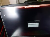 WhatsApp Image 2026-02-12 at 16.11.26.jpeg