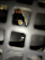 IMG_20240213_093018.jpg
