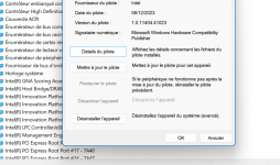 Capture d'écran 2024-04-01 164821.png
