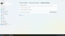 Schermafbeelding 2024-04-30 135744.png