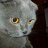 eldarjustic165102fe